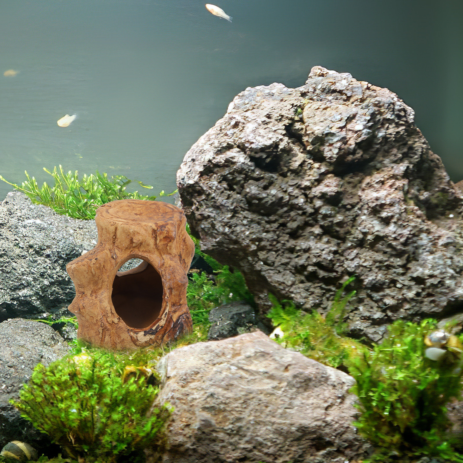 Pleco Caves Fish Tank Decorati – Hide Cave Ceramic recenzja i cena