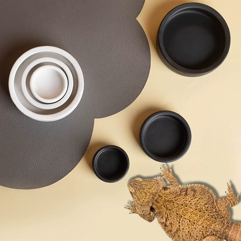HOT! Reptile Food Bowl Anti-Es – Water Dish Reptile recenzja i cena