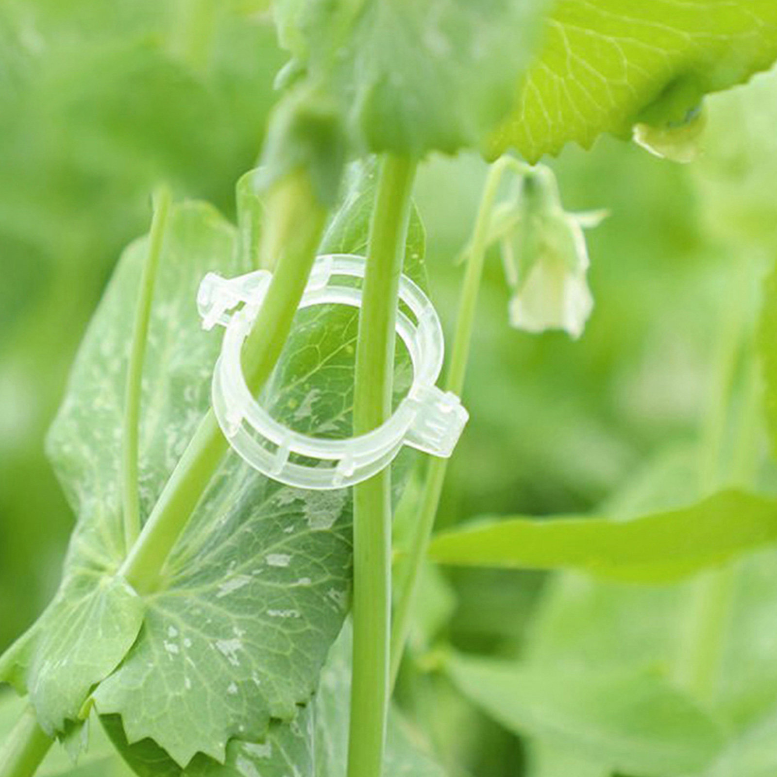 400Pcs Tomato Clips Plastic Ve – Vine Climbing Plastic recenzja i cena