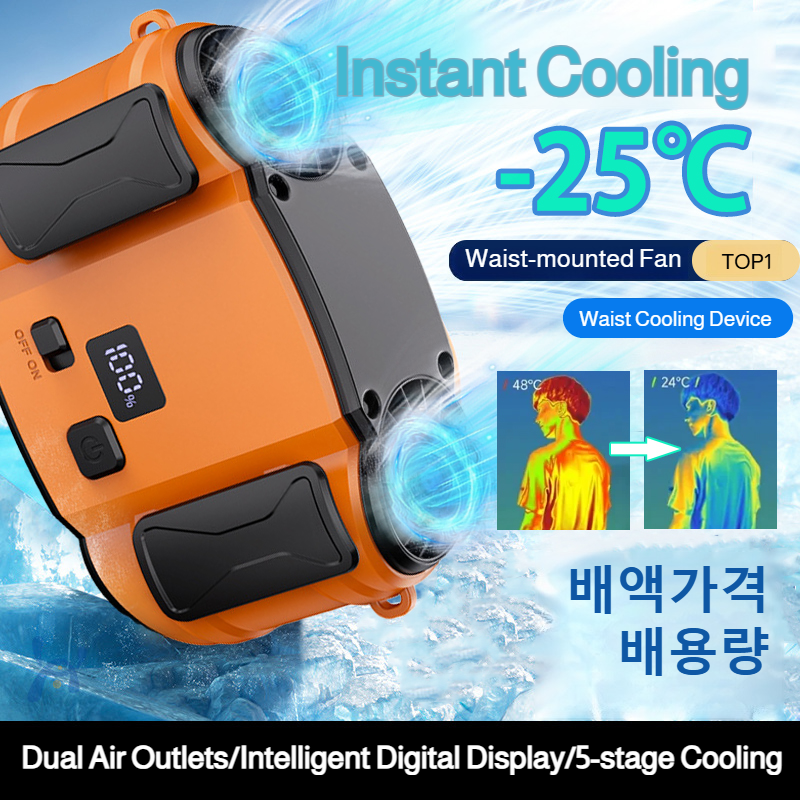 Outdoor Double Air Outlet Fan  – Timer Dual Outlet recenzja i cena