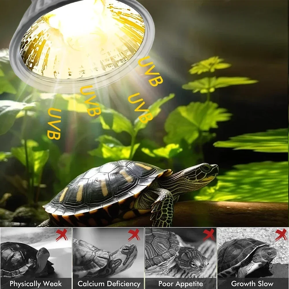 75/50/25W Tortoise Lizard Bask – Calcium Powder Reptile recenzja i cena