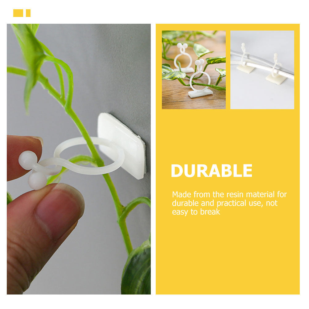 100Pcs Plant Wall Fixtures Res – Vine Climbing Plastic recenzja i cena
