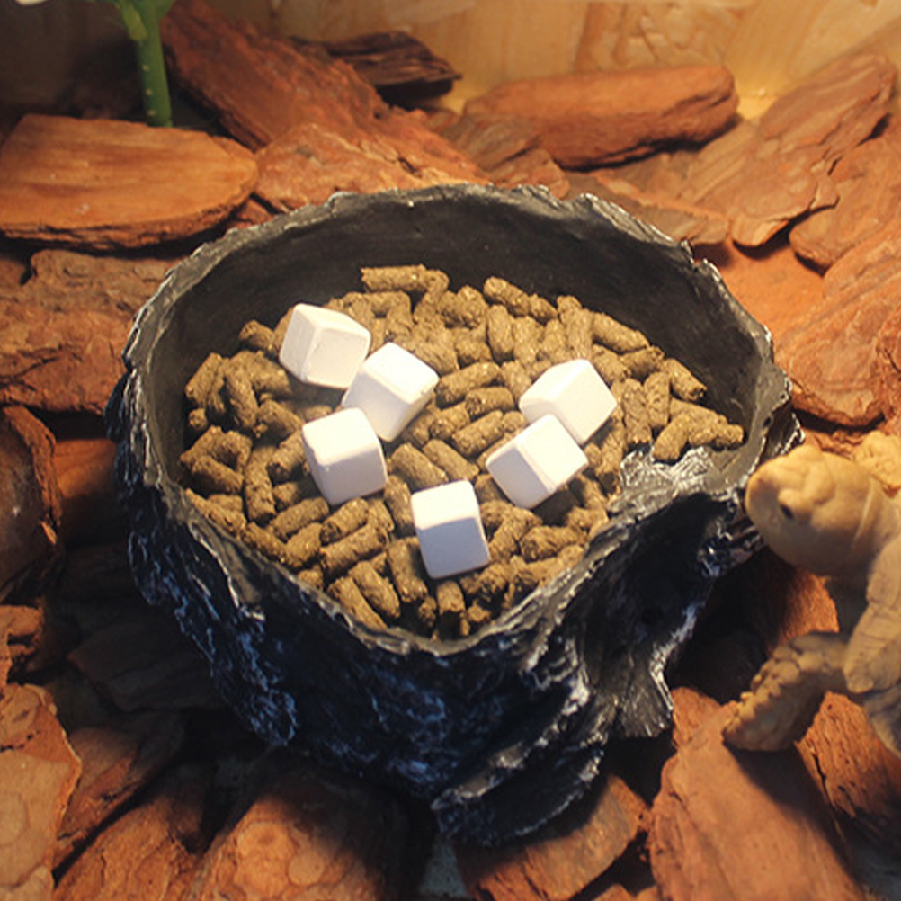 6Pcs Tortoise Tank Calcium Cub – Calcium Powder Reptile recenzja i cena