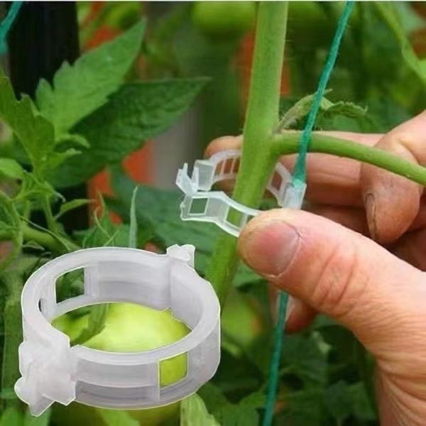 500Pcs Plastic Plant Support C – Vine Climbing Plastic recenzja i cena
