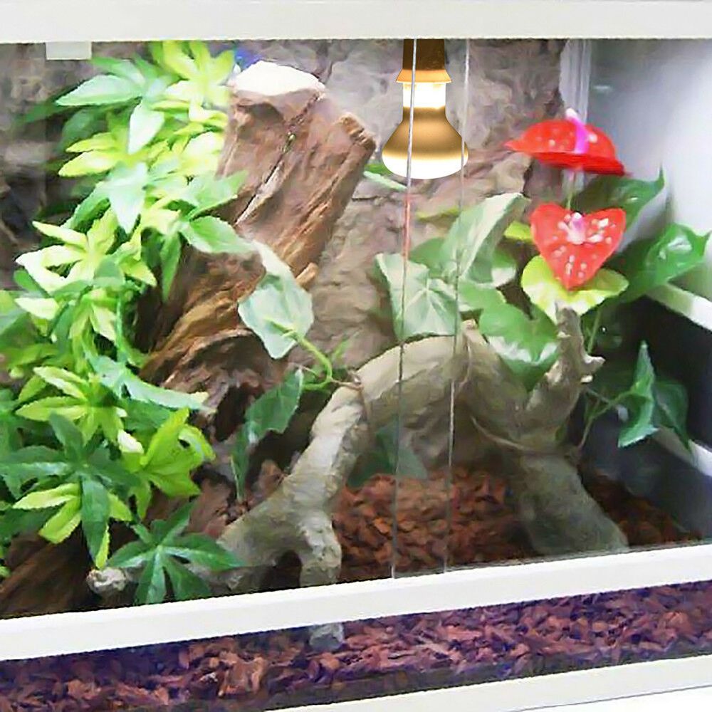 Turtle Temperature Controller  – Basking Bulb Halogen recenzja i cena