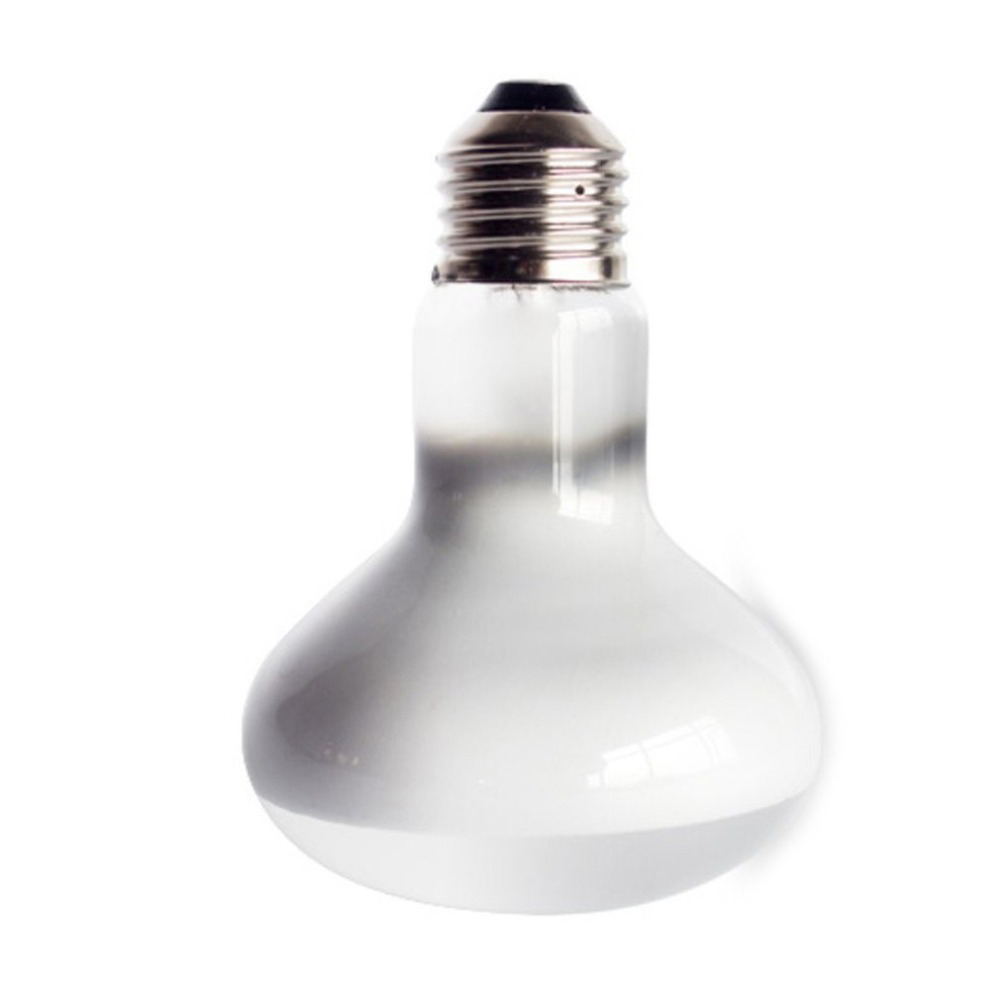 Turtle Temperature Controller  – Basking Bulb Halogen recenzja i cena