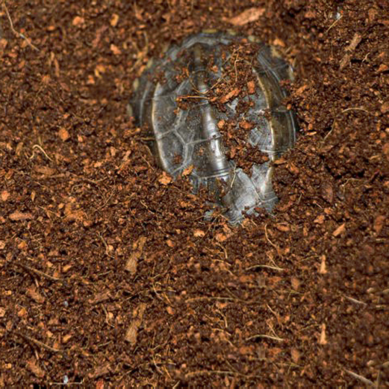 WAJABABY Ready-to-Use Coco Coi – Substrate Coconut Fiber recenzja i cena