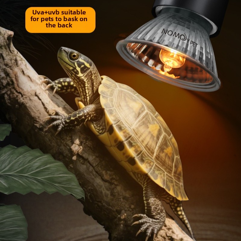 NOMOY 25/50/75w UVB 3.0 Reptil – Vitamin D3 Reptile recenzja i cena