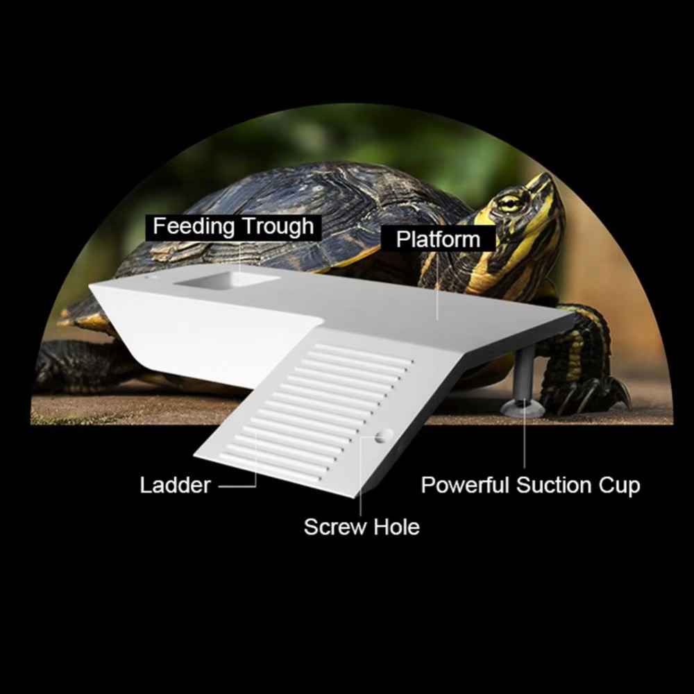 Water Land Slope Box Feeding C – Water Dish Reptile recenzja i cena