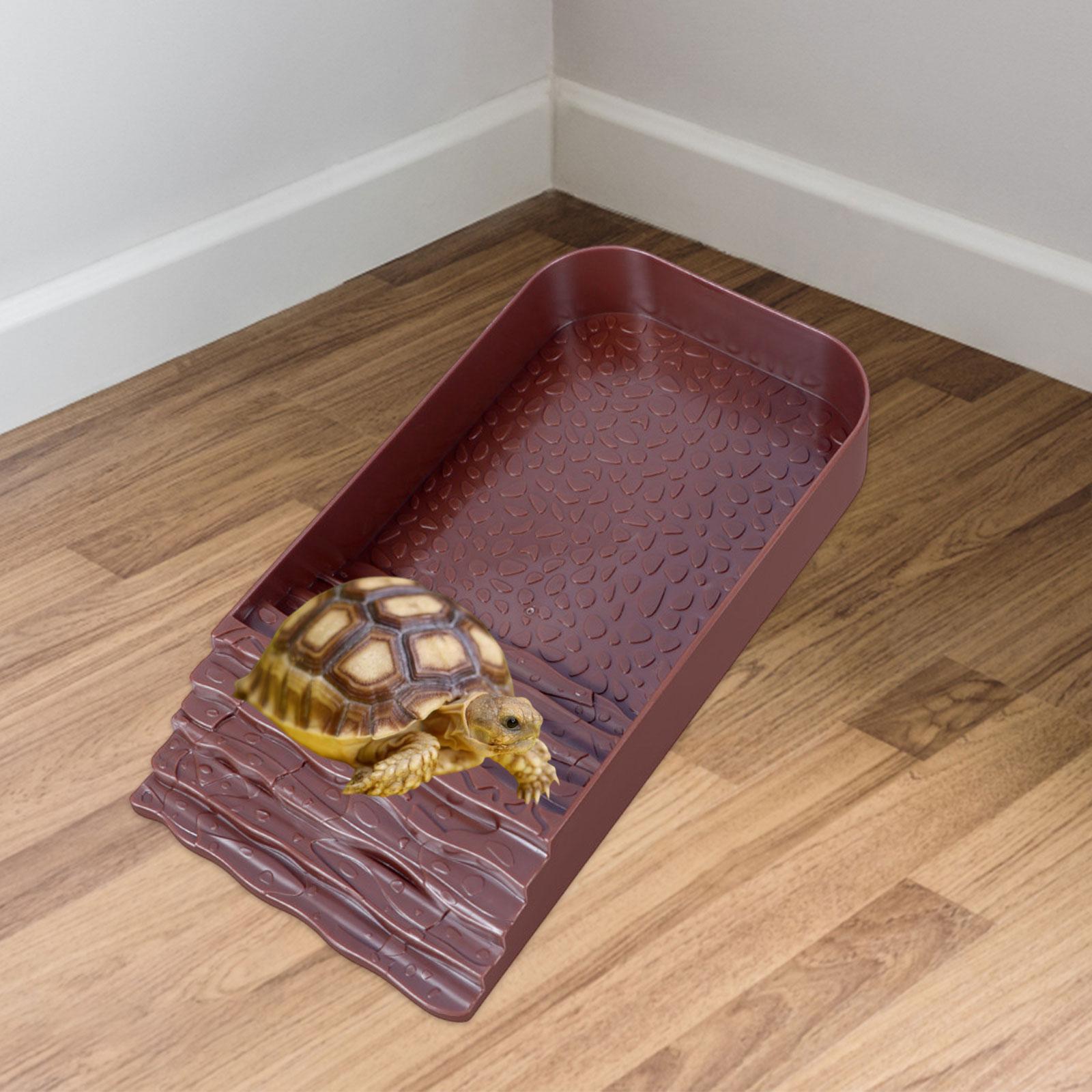 Reptile Water Bowl Accessories – Water Dish Reptile recenzja i cena
