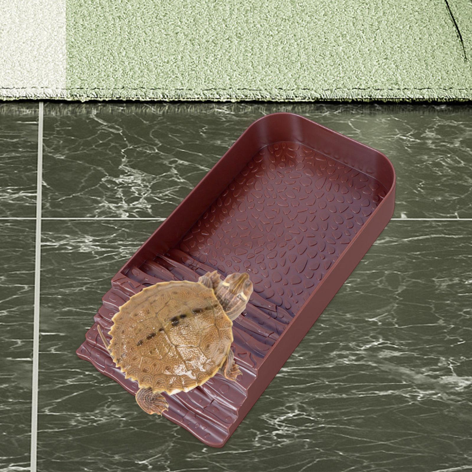 Reptile Water Bowl Accessories – Water Dish Reptile recenzja i cena