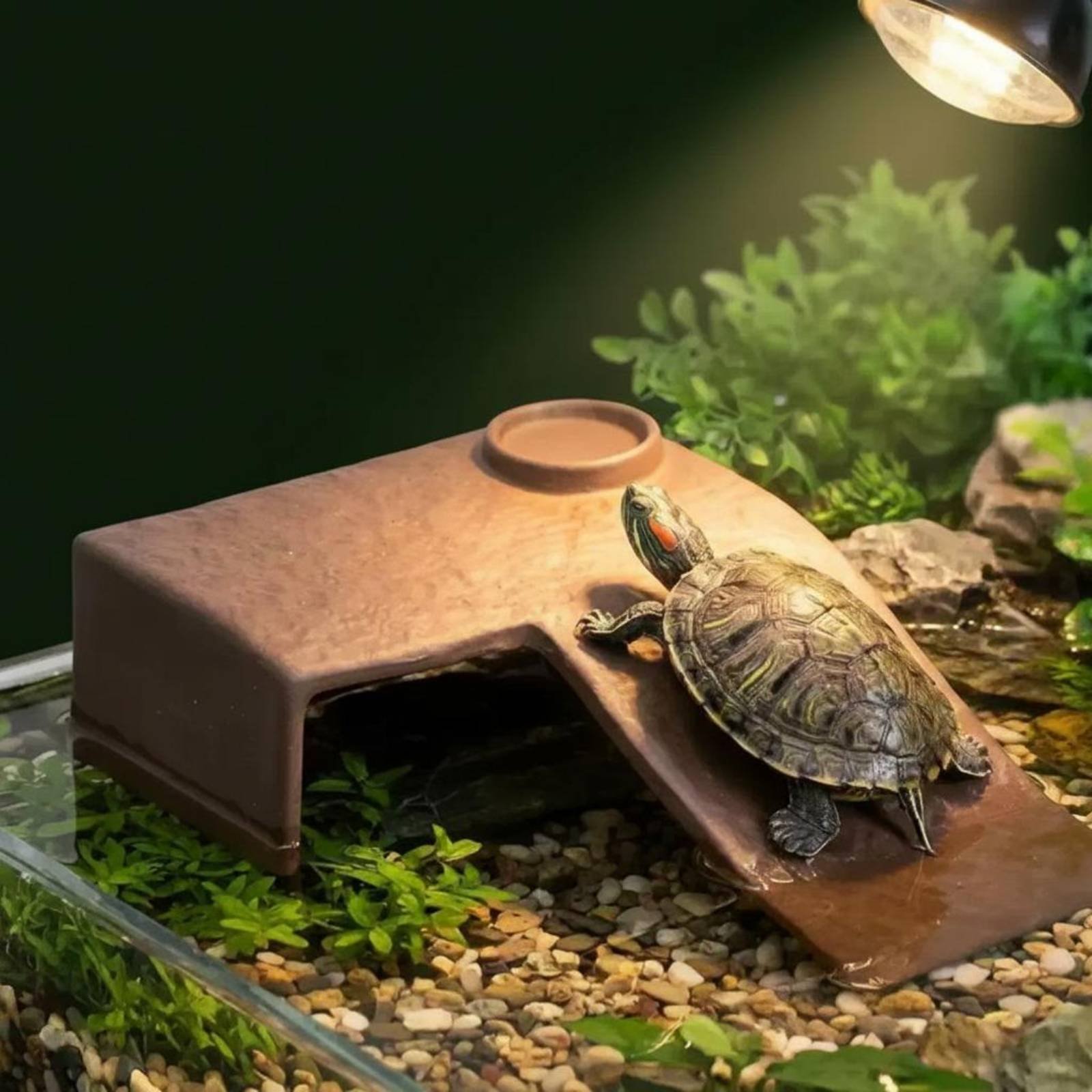 2 Pieces Turtle Basking Dock E – Hide Cave Ceramic recenzja i cena