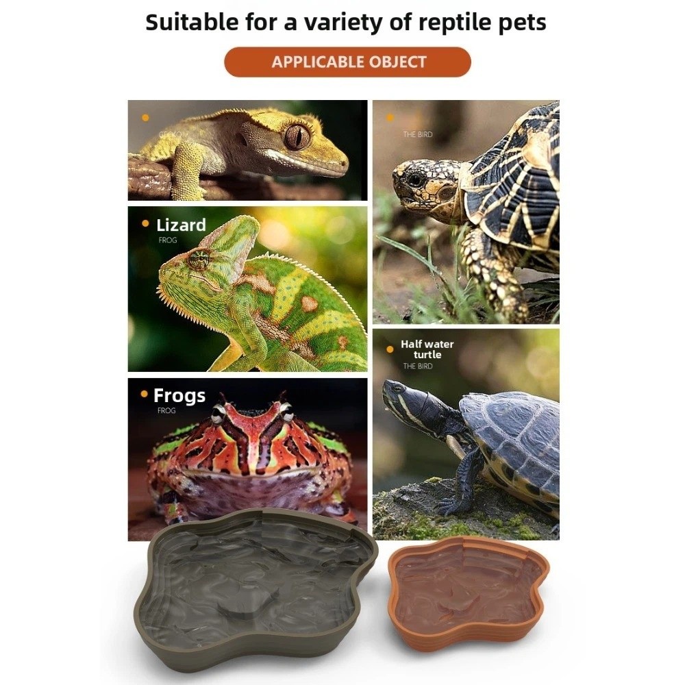 New Plastic Turtle Water Basin – Water Dish Reptile recenzja i cena