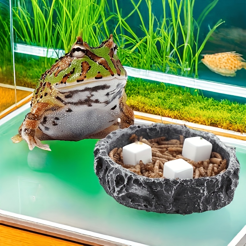 6 Pcs Fish Tank Calcium Block  – Calcium Powder Reptile recenzja i cena
