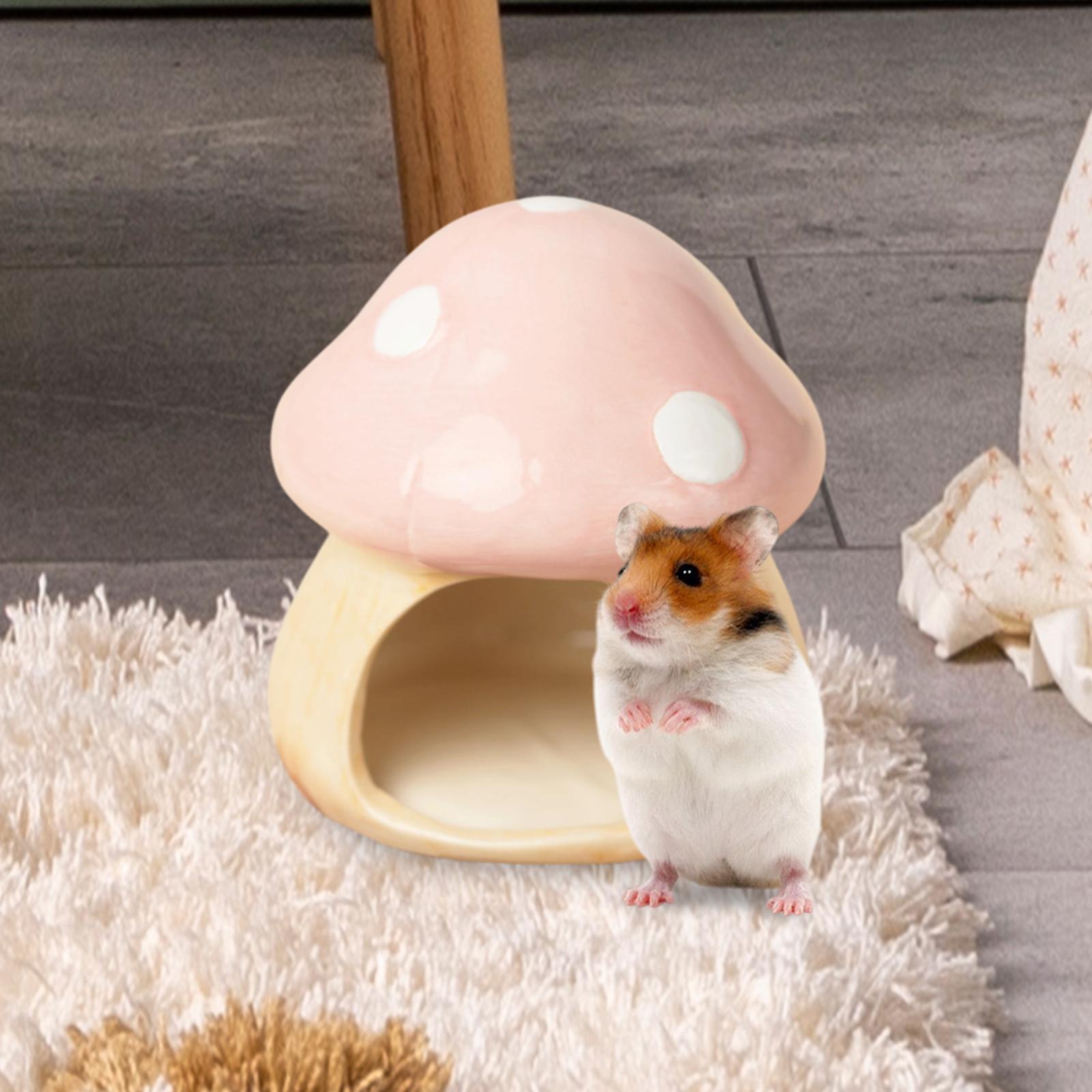 Ceramic Mushroom Hamster Hideo – Hide Cave Ceramic recenzja i cena