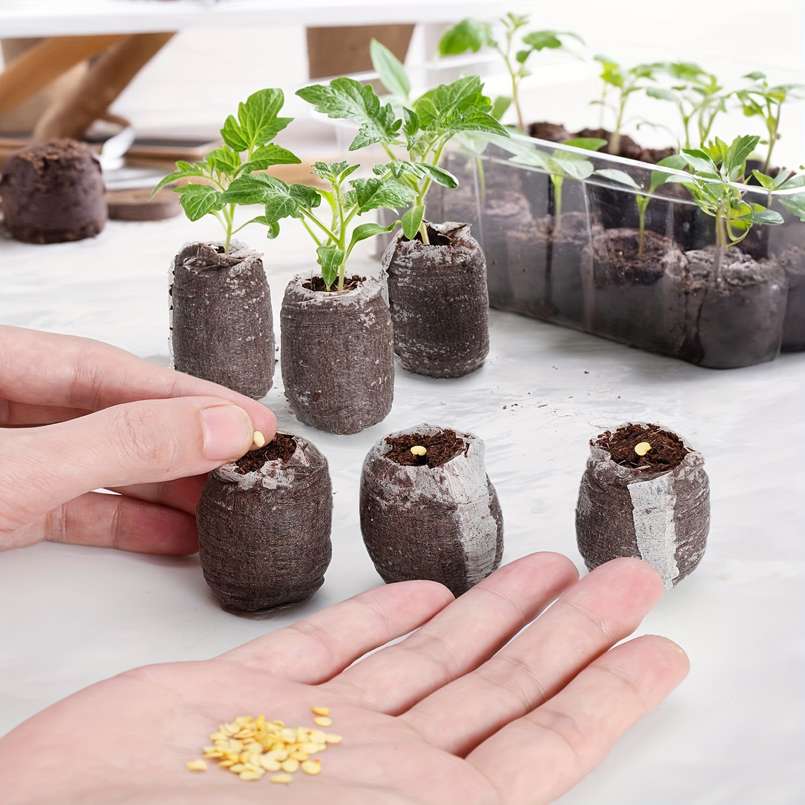 10/20/50pcs Plant Growth Bags  – Substrate Coconut Fiber recenzja i cena